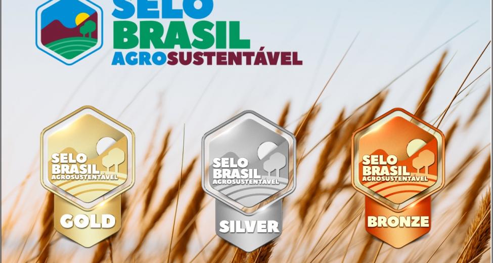 Imagem Destaque